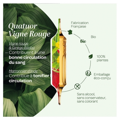 Superdiet Quatuor Vigne Rouge Circulation Bio
Marronnier d'Inde Hamamélis Vigne Rouge Ginkgo - 20 Ampoules de 15 ml