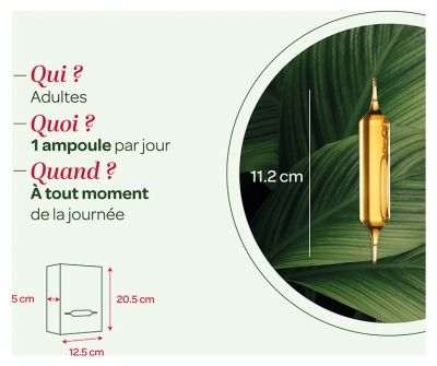 Superdiet Quatuor Vigne Rouge Circulation Bio
Marronnier d'Inde Hamamélis Vigne Rouge Ginkgo - 20 Ampoules de 15 ml