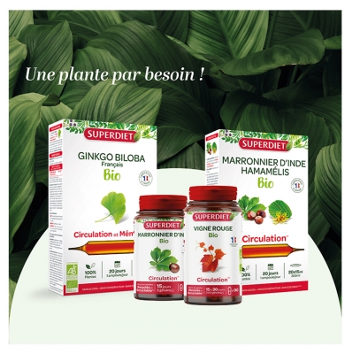 Superdiet Quatuor Vigne Rouge Circulation Bio
Marronnier d'Inde Hamamélis Vigne Rouge Ginkgo - 20 Ampoules de 15 ml
