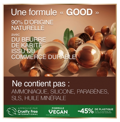 Garnier Good Coloration Permanente et sans Ammoniaque 160 ML - Coloration : 10.14 Blond Très Clair Camomille