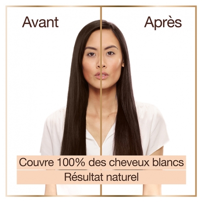 Garnier Good Coloration Permanente et sans Ammoniaque 160 ML - Coloration : 3.12 Châtain Foncé Myrtille