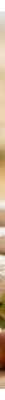 Le Petit Olivier Savon Surgras Extra Doux Huile d'Argan 250 g