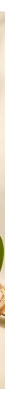 Le Petit Olivier Savon Surgras Extra Doux Huile d'Argan 250 g