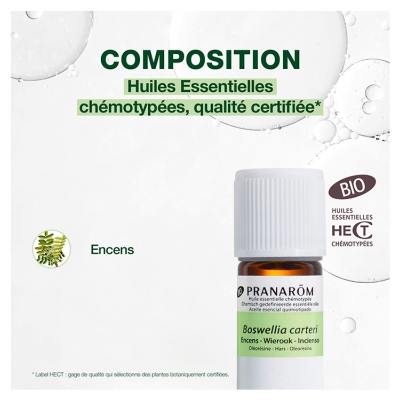 Pranarôm Encens Boswellia Carteri Oléorésine Hect 5 ml