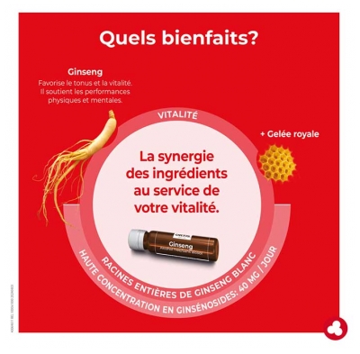 Ortis Ginseng Bio Vitalité 20 Fioles