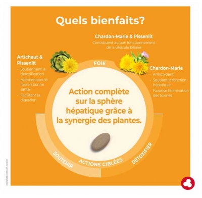 Ortis Depurfoie 60 Comprimés
