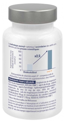 Alvityl Assimyl+ Vitamine D3 Système Immunitaire Capital Osseux 60 Gélules