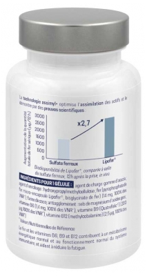 Alvityl Assimyl+ Fer Énergie et Système Immunitaire 60 Gélules