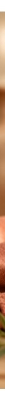 Hennedrog Henné Nature Cuivre Naturel Coloration Végétale 90 g