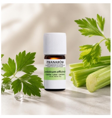 Pranarôm Huile Essentielle Livèche Levisticum Officinale Partie Distillée : Racine 5 Ml...