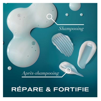 Ogx Shampoing Huile Argan du Maroc Cheveux Secs et Abîmés 385 ml