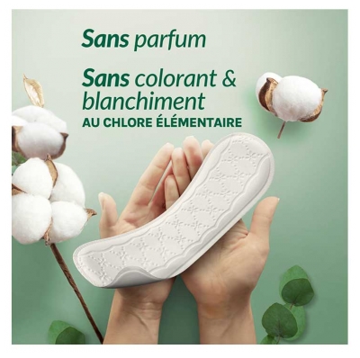 Vania Protection Protège-Slips Long Coton Bio 24 Protège-Lingeries