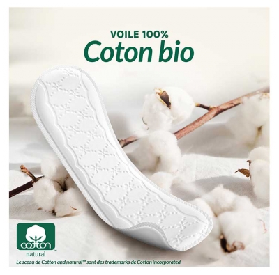 Vania Protection Protège-Slips Long Coton Bio 24 Protège-Lingeries