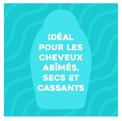 Ogx Masque Huile Argan du Maroc Cheveux Secs et Abîmés 385 ml