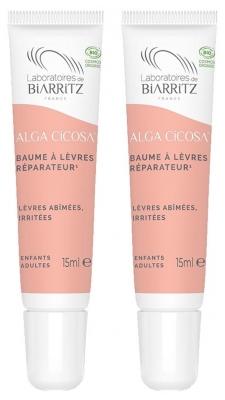 Laboratoires de Biarritz Baume à Lèvres Réparateur Bio Lot de 2 x 15 ml