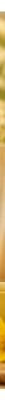 Solinotes Vanille Brume Parfumée 60 ml + Eau de Parfum 50 ml 