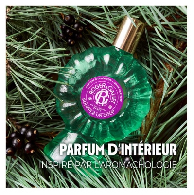Roger & Gallet Parfum d'Intérieur Souffle un Coup 100 ml
