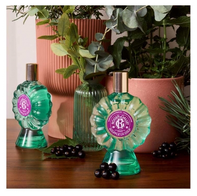 Roger & Gallet Parfum d'Intérieur Souffle un Coup 100 ml