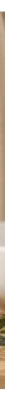 BeauTerra Gel Douche Surgras 3en1 Extra-Doux 1 L 