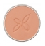 05 : Corail