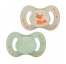 Taupe Renard et Vert