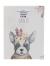 Chien