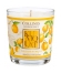 Fleur de Kumquat
