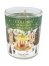Forët de Sapin