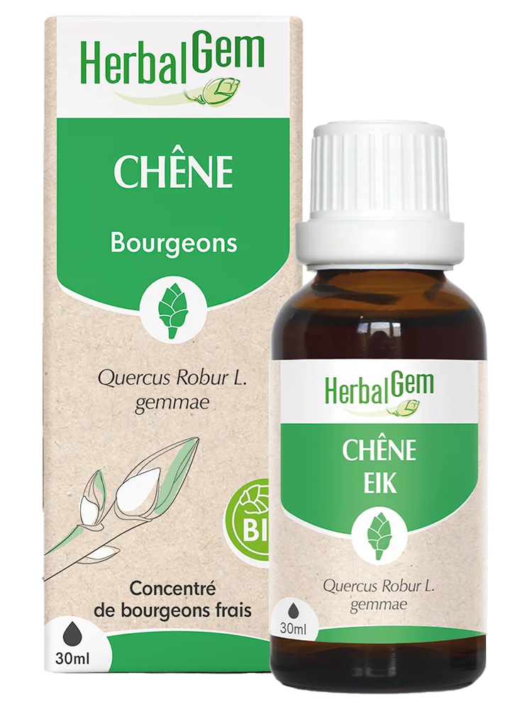 HerbalGem Chêne Bio Macérats-Mères de Gemmothérapie Concentrée 30 ml
