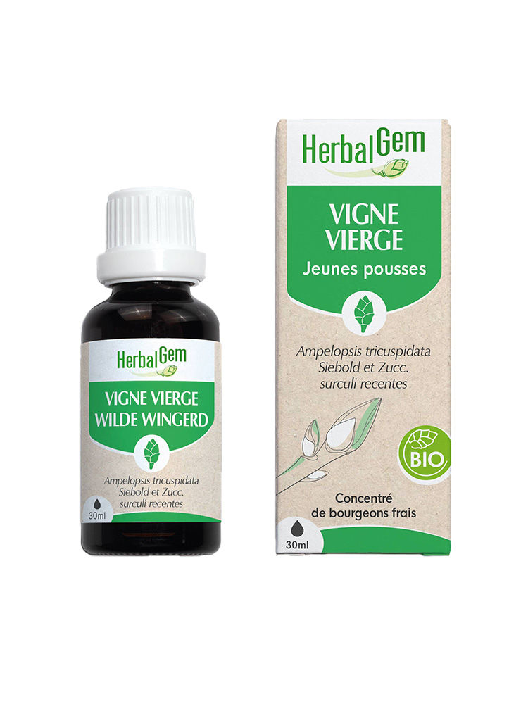 Herbalgem Vigne Vierge Bio Macérats-Mères de Gemmothérapie Concentrée 30 ml