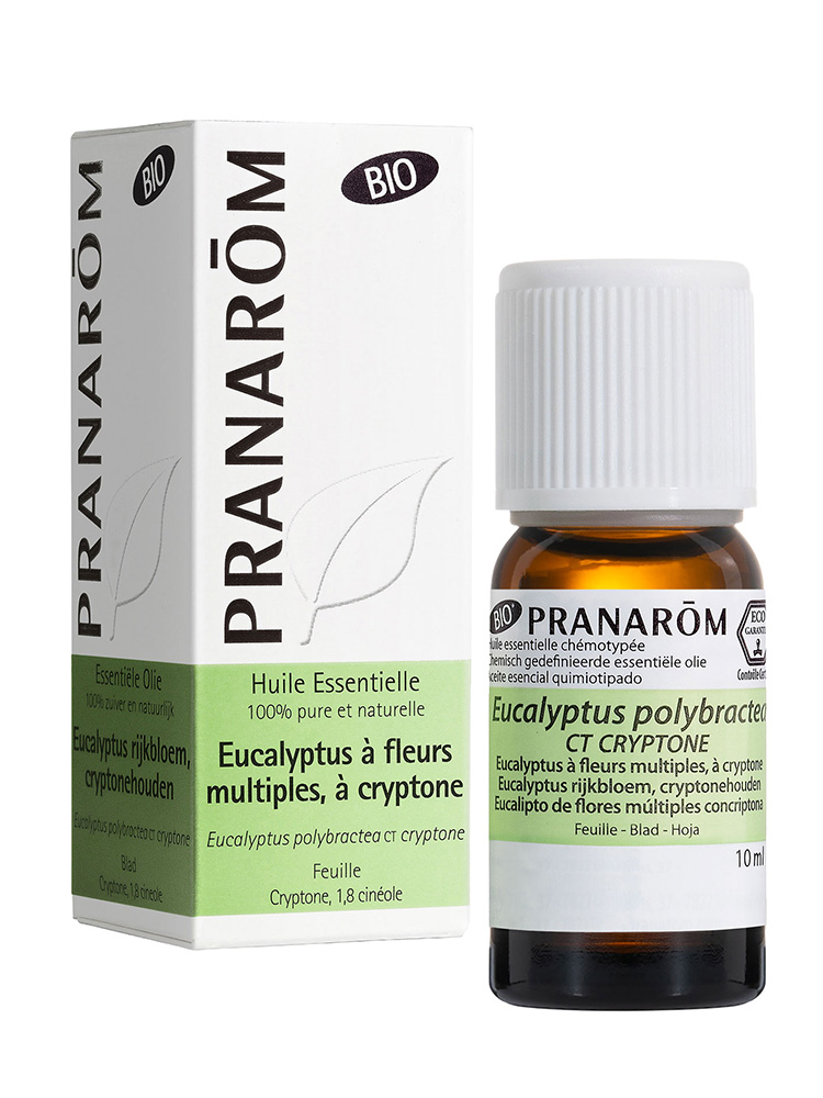 Pranarôm Eucalyptus a Fl. Multiples a Cryptone Feuille Bio (Eco) 10 ml