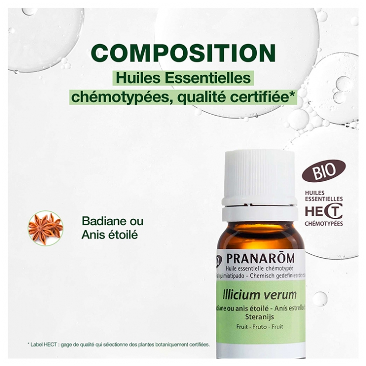 Pranarôm Huile Essentielle Badiane ou Anis Étoilé (Illicum Verum) Hect — free download